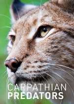 Watch Carpathian Predators Vumoo