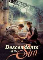 Watch Descendants of the Sun Vumoo