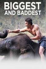 Watch Biggest and Baddest Vumoo