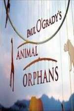 Watch Paul O'Grady's Animal Orphans Vumoo