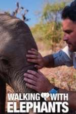 Watch Walking with Elephants Vumoo