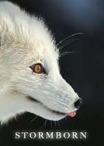 Watch Stormborn Vumoo