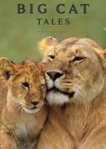 Watch Big Cat Tales Vumoo