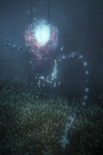 Watch Into the Universe with Stephen Hawking Vumoo