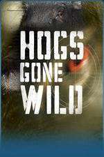 Watch Hogs Gone Wild Vumoo