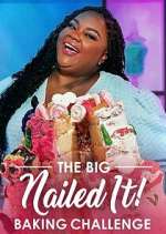Watch The Big Nailed It! Baking Challenge Vumoo