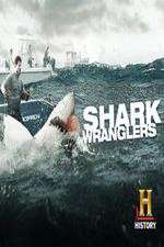 Watch Shark Wranglers Vumoo