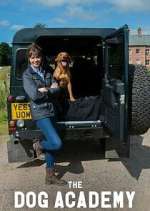 Watch Bad Dog Academy Vumoo