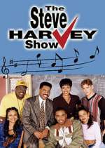 Watch The Steve Harvey Show Vumoo