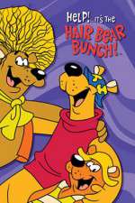 Watch Help!... It's the Hair Bear Bunch Vumoo