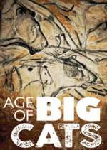 Watch Age of Big Cats Vumoo
