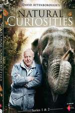 Watch Natural Curiosities Vumoo