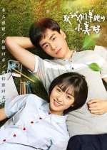 Watch A Love So Beautiful Vumoo