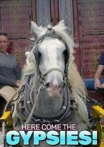Watch Here Come the Gypsies! Vumoo