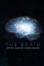 Watch The Brain with Dr David Eagleman Vumoo