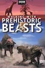 Watch Walking with Beasts Vumoo